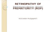 5. Retinopathy of Prematurity (Rop)