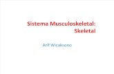 2014-Sistema Musculoskeletal.pdf