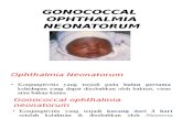 Gonococcal Ophthalmia Neonatorum Rev