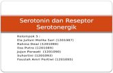 Serotonin Dan Reseptor Serotonergik