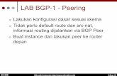 APNIC Training Routing BGP