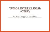 Tumor Intrakranial 12