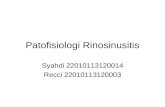 Patofisiologi Rinosinusitis
