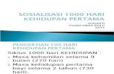 Sosialisasi 1000 Hari Kehidupan Pertama
