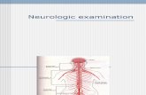 Neurology Examination