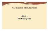 NUTRISI MIKROBA A.pdf