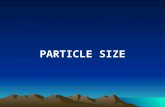Particle Size.pps
