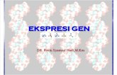 Ekpresi Gen