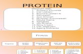 PPT Biokimia (Protein).pptx