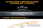 Hyaline Membrane Disease (Hmd)
