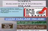 Napza Dalam Sudut Pandang Islam