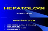 S1 Kuliah Hepatologi IPDIII