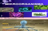 3.1 Mikroorganisma Benda Hidup (1)