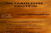 Pendahuluan Metabolisme Protein OK