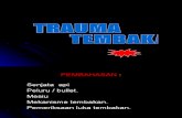 Traumatologi II