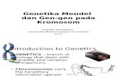 1 Genetika Mendel dan gen-gen pada kromosom (1).pptx