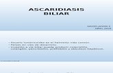 Asacaridiasis biliar