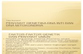 79517779 Penyakit Genetika DNA Inti Dan DNA Mitokondria