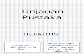 Hepatitis a Tinjauan Pustaka