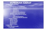SUSUNAN SARAF [Compatibility Mode].PDF Ppt