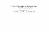 GAMBAR PARASIT MANUSIA (Pendok Unand 2014's Conflicted Copy 2015-07-13)