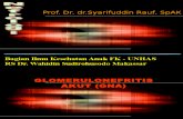 Prof. Syarifuddin Rauf (Sindrome Nefrotik, UTI, GNAPS)