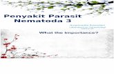 Penyakit Parasit Nematoda 3_Nurprimadita.pptx