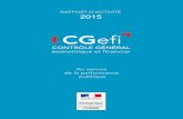 Rapport d Activite Cgefi 2015