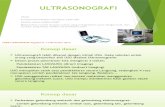 Ultrasonografi Pertemuan Ke-6