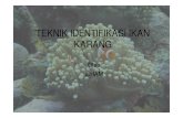 PANDUAN DASAR Ikan Karang Tns [Read-Only] [Compatibility Mode]