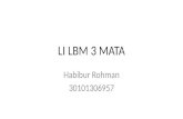 LI LBM 3 MATA Habib.pptx