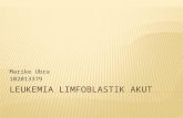 Leukemia Limfoblastik Akut