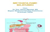 Himmi Metabolisme Bilirubin
