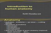 Pengenalan Anatomi Tubuh Manusia