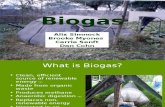 PRLC Armstrong Biogas FLHS Spr08