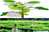 2.HamaTanaman DHPT 2016