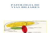 Expo Patologias Biliares