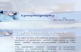Lympografi Lain