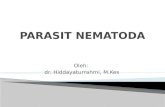 Parasit Nematoda