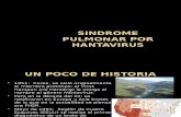 Sindrome Pulmonar Por Hantavirus Caso Clinico