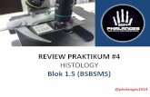 4. Review Praktikum Histology Bsbsms 4