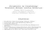 Anatomi & Histologi Sistem Bilier Serta Ikterus