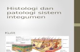 Histologi Dan Patologi Sistem Integumen