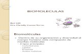 Macromoleculas (1).pdf