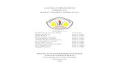 Laporan Fisiologi C-2 Muskuloskeletal.pdf