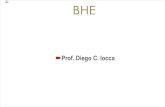 BHE - 5 - Organelas