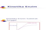 Kinetika Enzim-1bnb