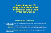 Agricultural Practices of Malaysia