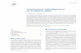 Anastomosis Biliodigestivas en La Litiasis Biliar