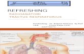 Refreshing Traktus Respirato ( Dwita )Rius